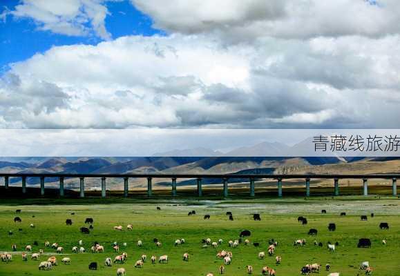 青藏线旅游