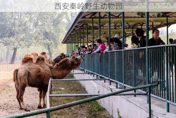 西安秦岭野生动物园