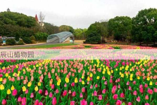 辰山植物园