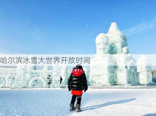 哈尔滨冰雪大世界开放时间