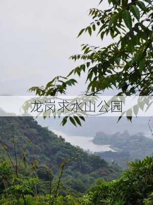 龙岗求水山公园