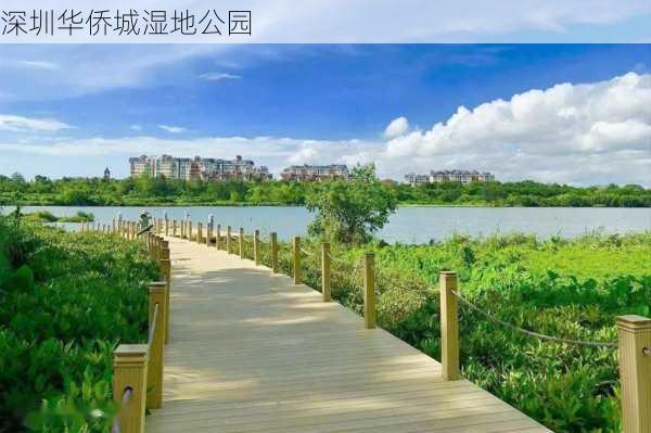 深圳华侨城湿地公园