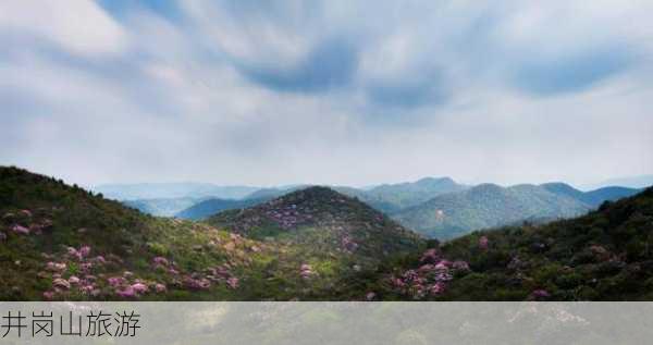 井岗山旅游