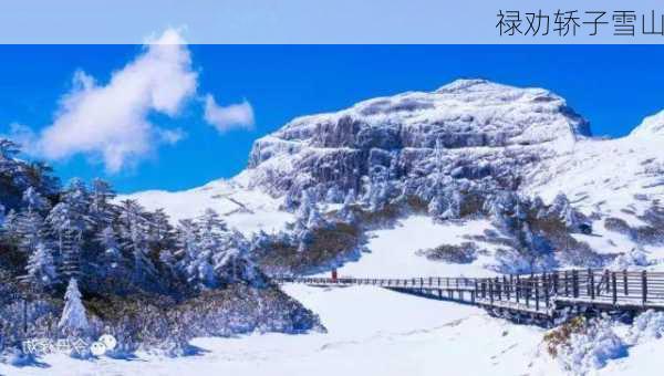 禄劝轿子雪山