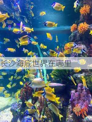 长沙海底世界在哪里