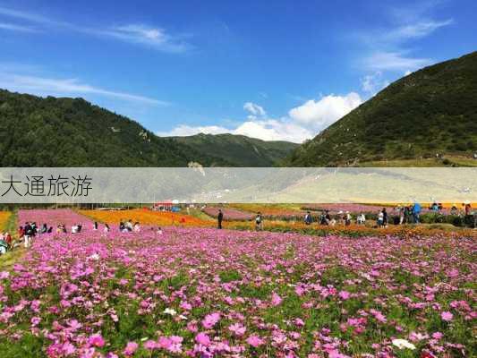 大通旅游