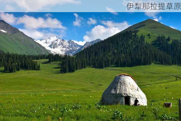 伊犁那拉提草原