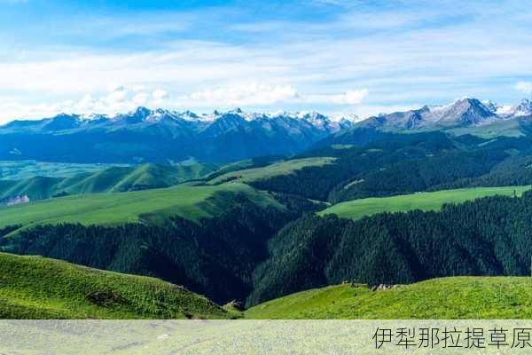 伊犁那拉提草原