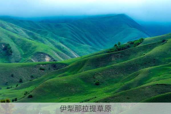 伊犁那拉提草原