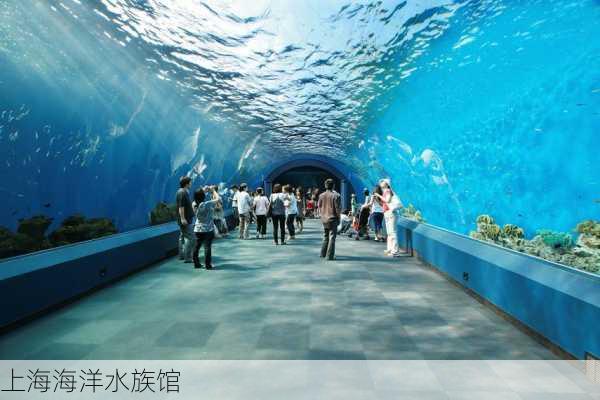 上海海洋水族馆