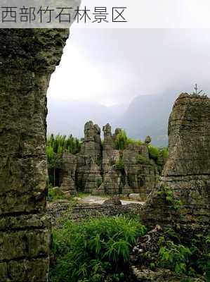 西部竹石林景区