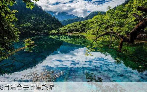 8月适合去哪里旅游