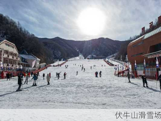 伏牛山滑雪场