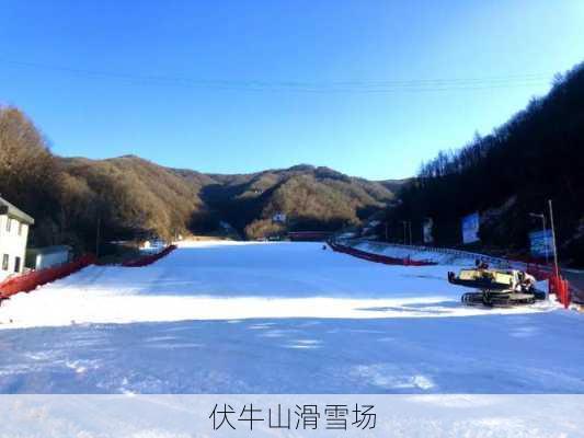 伏牛山滑雪场