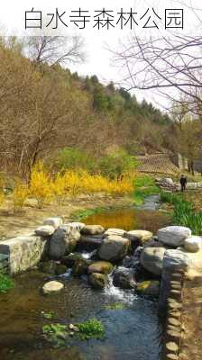 白水寺森林公园