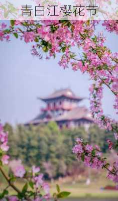 青白江樱花节