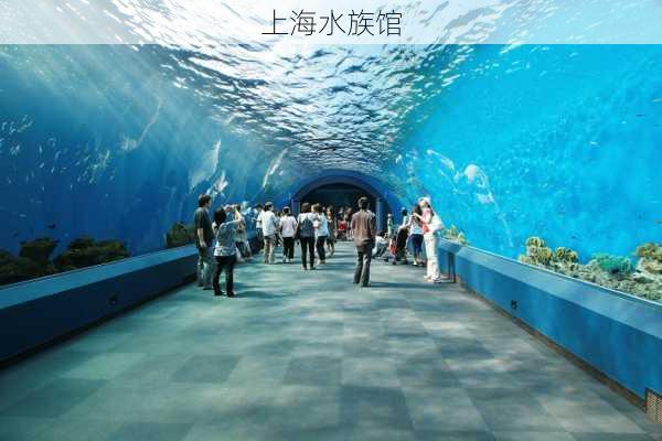 上海水族馆