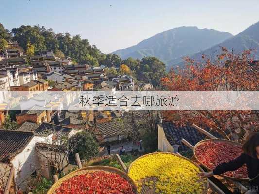 秋季适合去哪旅游