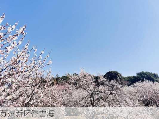 苏州新区香雪海