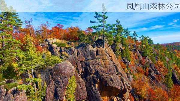 凤凰山森林公园