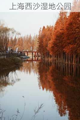 上海西沙湿地公园