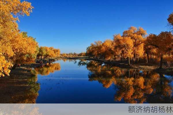 额济纳胡杨林