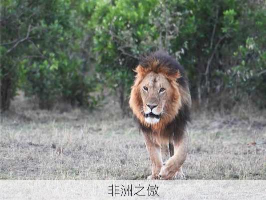 非洲之傲