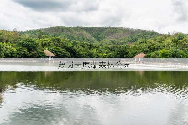 萝岗天鹿湖森林公园