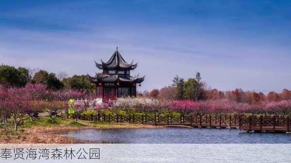 奉贤海湾森林公园