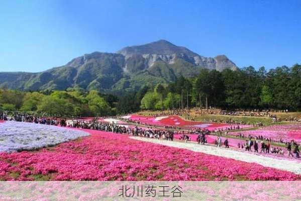 北川药王谷