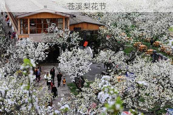 苍溪梨花节