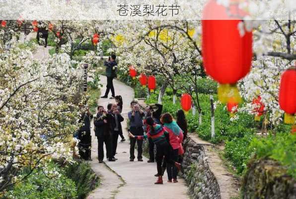 苍溪梨花节