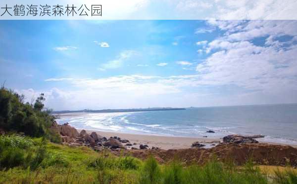 大鹤海滨森林公园