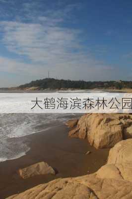 大鹤海滨森林公园