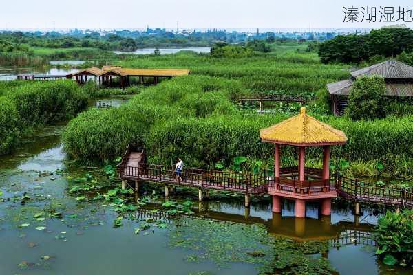 溱湖湿地