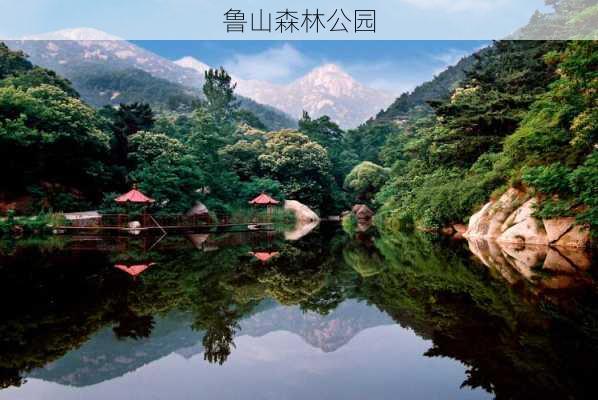 鲁山森林公园