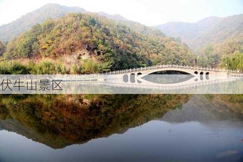 伏牛山景区