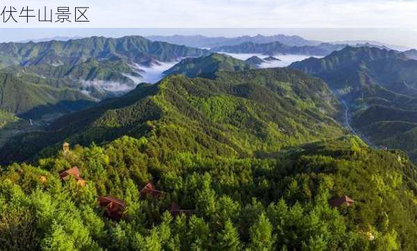 伏牛山景区