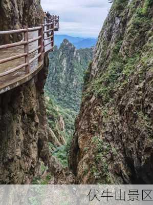 伏牛山景区