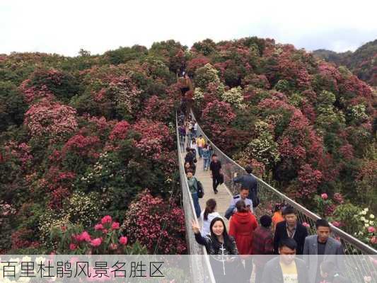 百里杜鹃风景名胜区