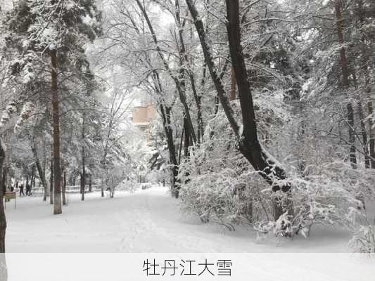 牡丹江大雪