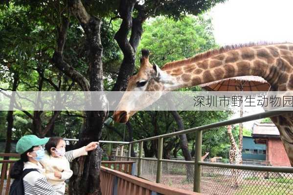 深圳市野生动物园