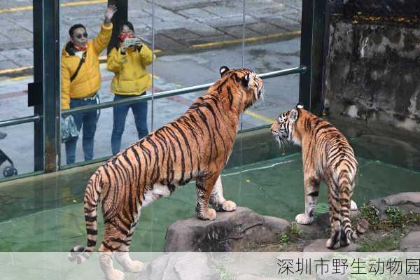 深圳市野生动物园