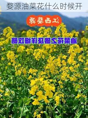 婺源油菜花什么时候开