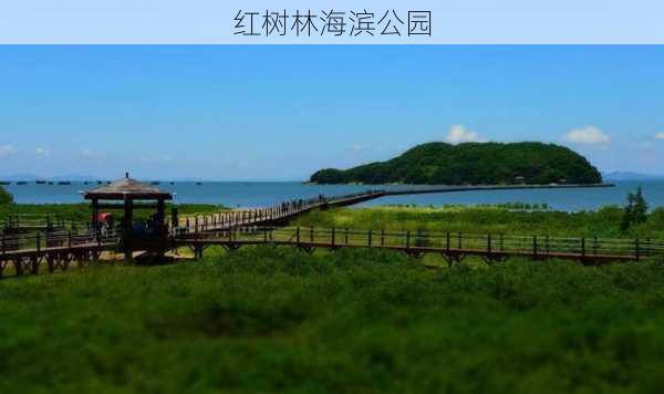 红树林海滨公园