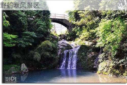 野鹤湫风景区