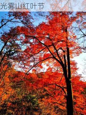 光雾山红叶节