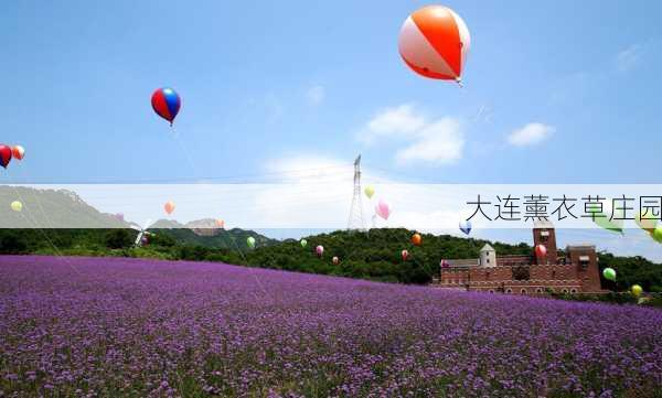 大连薰衣草庄园