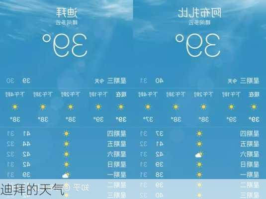 迪拜的天气