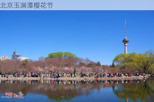 北京玉渊潭樱花节